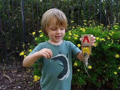 Charlottesville rodent trapping